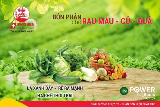 Giải pháp dinh dưỡng cho cây Rau lấy củ