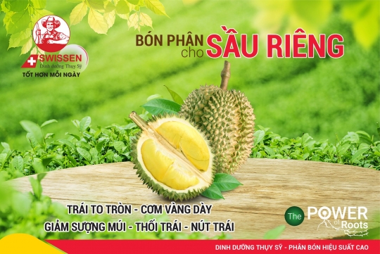 Giải Pháp Dinh Dưỡng Cho Cây Sầu Riêng