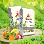 PHÂN BÓN NPK THUỴ SỸ 16-16-16+TE THÁP CAO