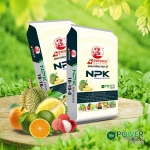 PHÂN BÓN NPK THUỴ SỸ 16-16-8+TE