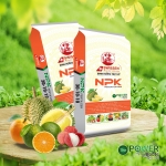 PHÂN BÓN NPK THUỴ SỸ 30-10-10+TE THÁP CAO