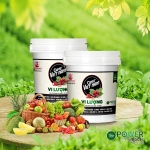 PHÂN BÓN VI LƯỢNG CHUYÊN DÙNG CAFE VIET NAM