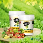 PHÂN BÓN VI LƯƠNG CHUYÊN DÙNG DURIAN VIET NAM