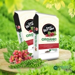 PHÂN BÓN HỮU CƠ NỞ THUỴ SỸ CAFÉ VIỆT NAM